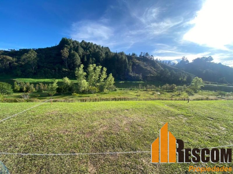 Terreno disponible para Venta en Guatape Aeropuerto Foto numero 1
